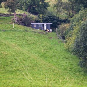 Shepherdshut-2