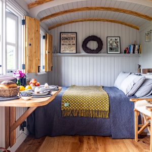 Shepherdshut-22