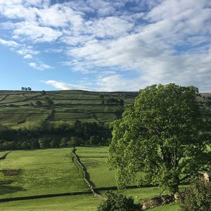 Shepherds Hut View